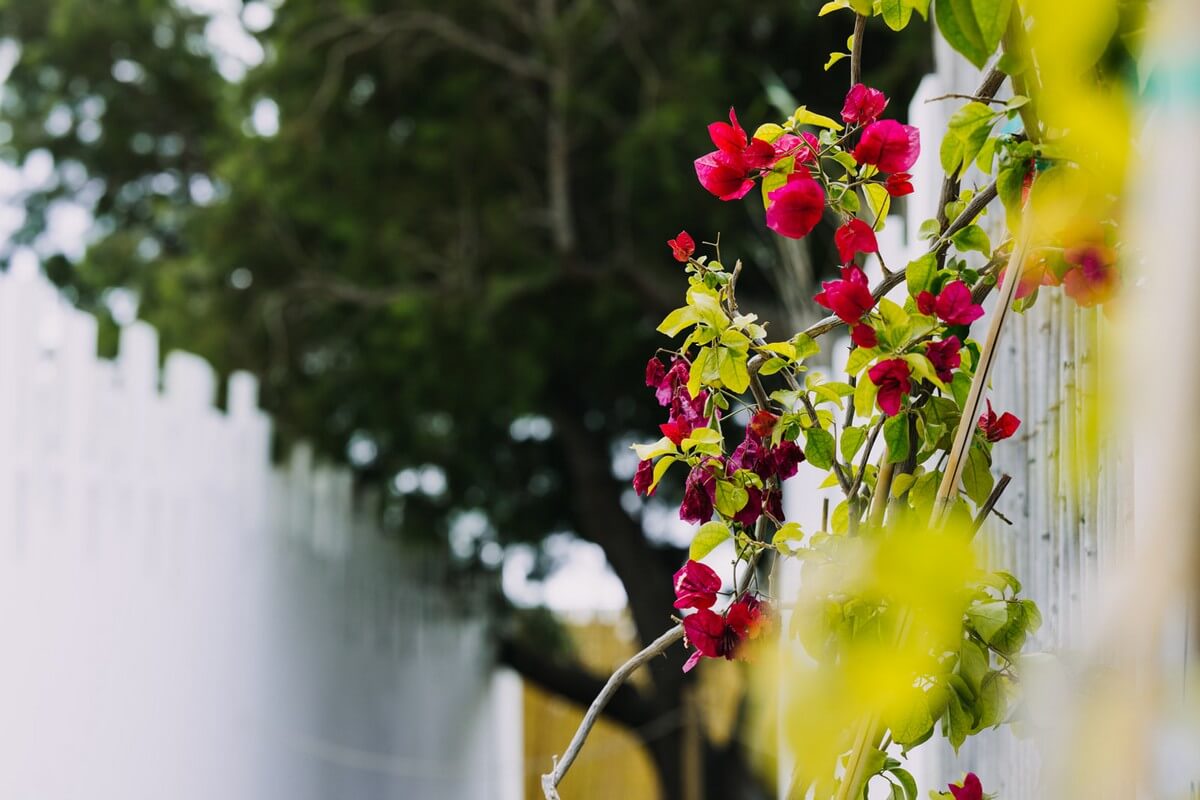 Thalas | Restaurant in Super Paradise Beach, Mykonos