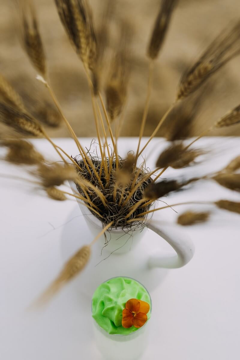 thalas-mykonos-restaurant-168